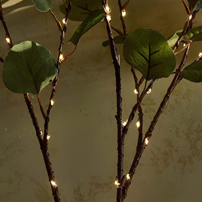 BotanicGlow™ – Create Magazine-Worthy Ambience in Minutes, Impress Guests Every Time